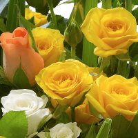 Flowers for the Home